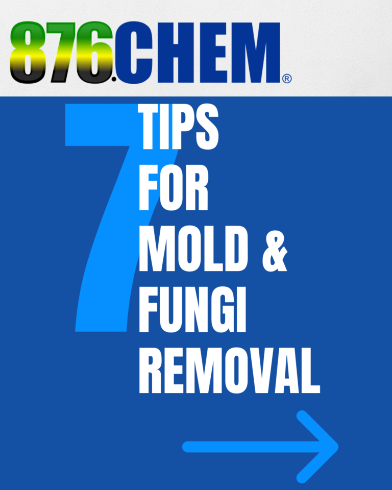 7 Tips for Mold & Fungi Removal